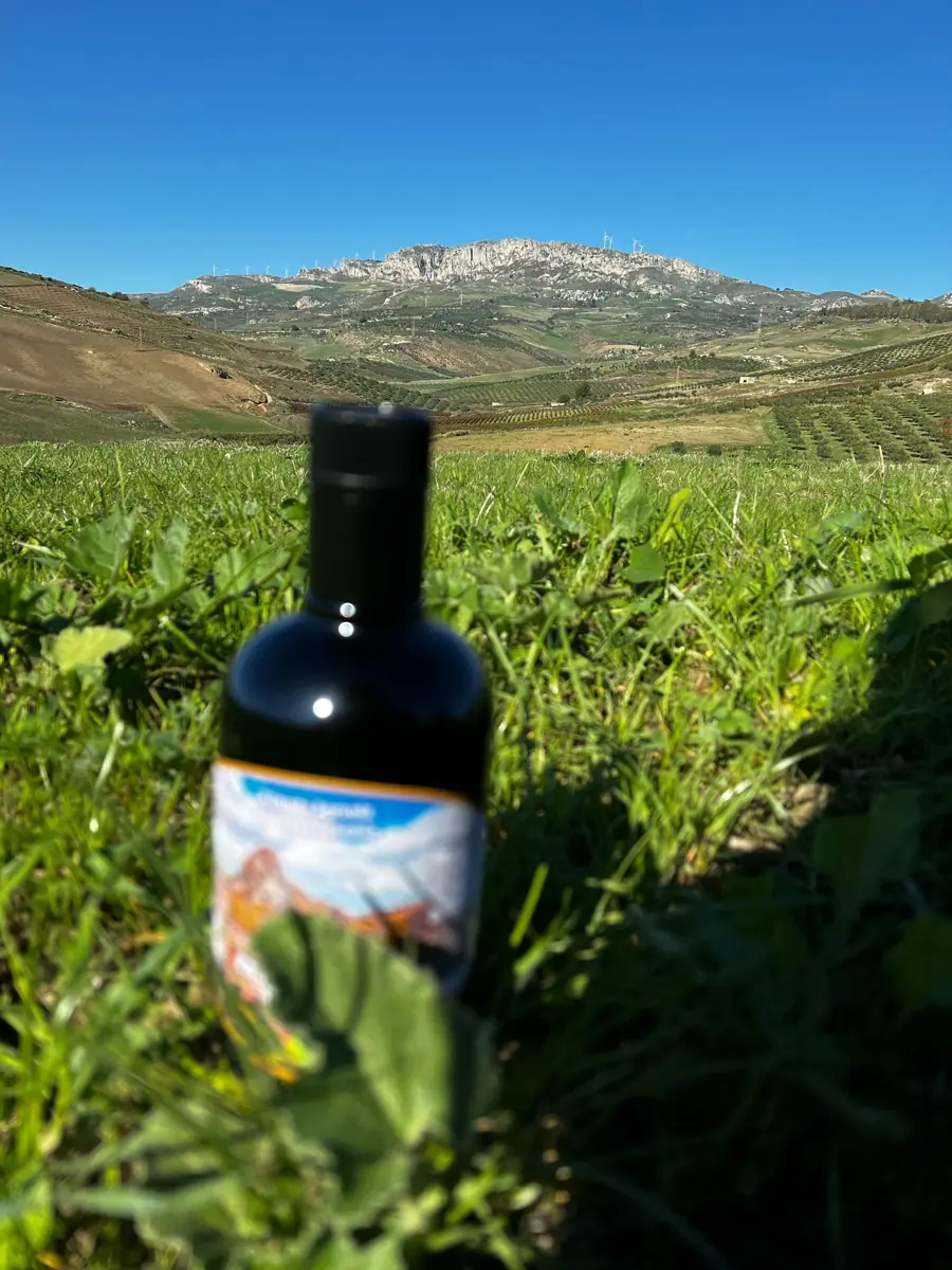 Olio Agri.Ge in campagna