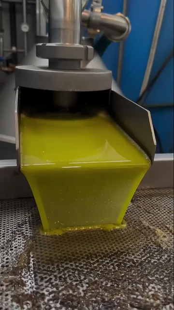 Olio extravergine appena estratto al frantoio